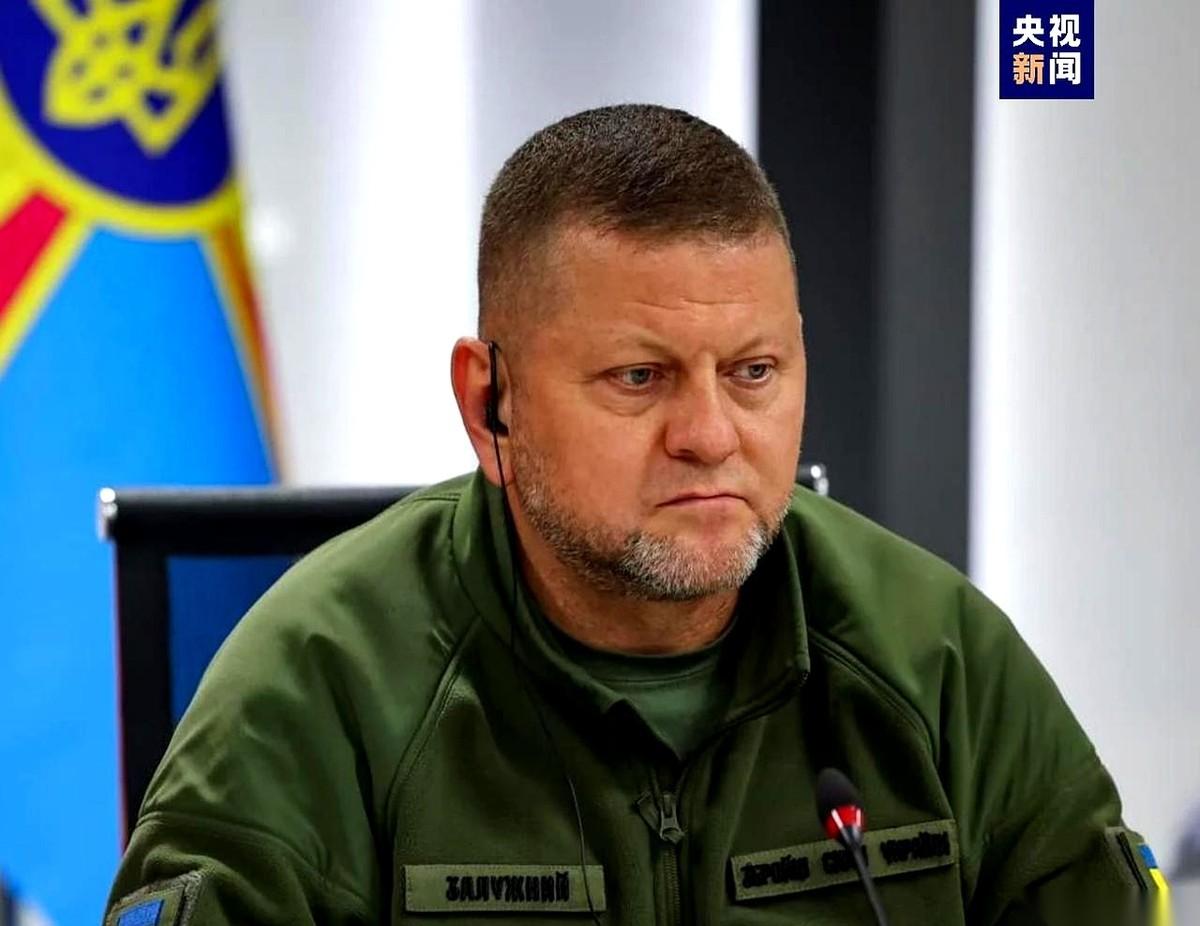 乌军前总司令扎卢日内曾留下过一句极度刺耳的话：“这个世界上，没有任何一个国家能真