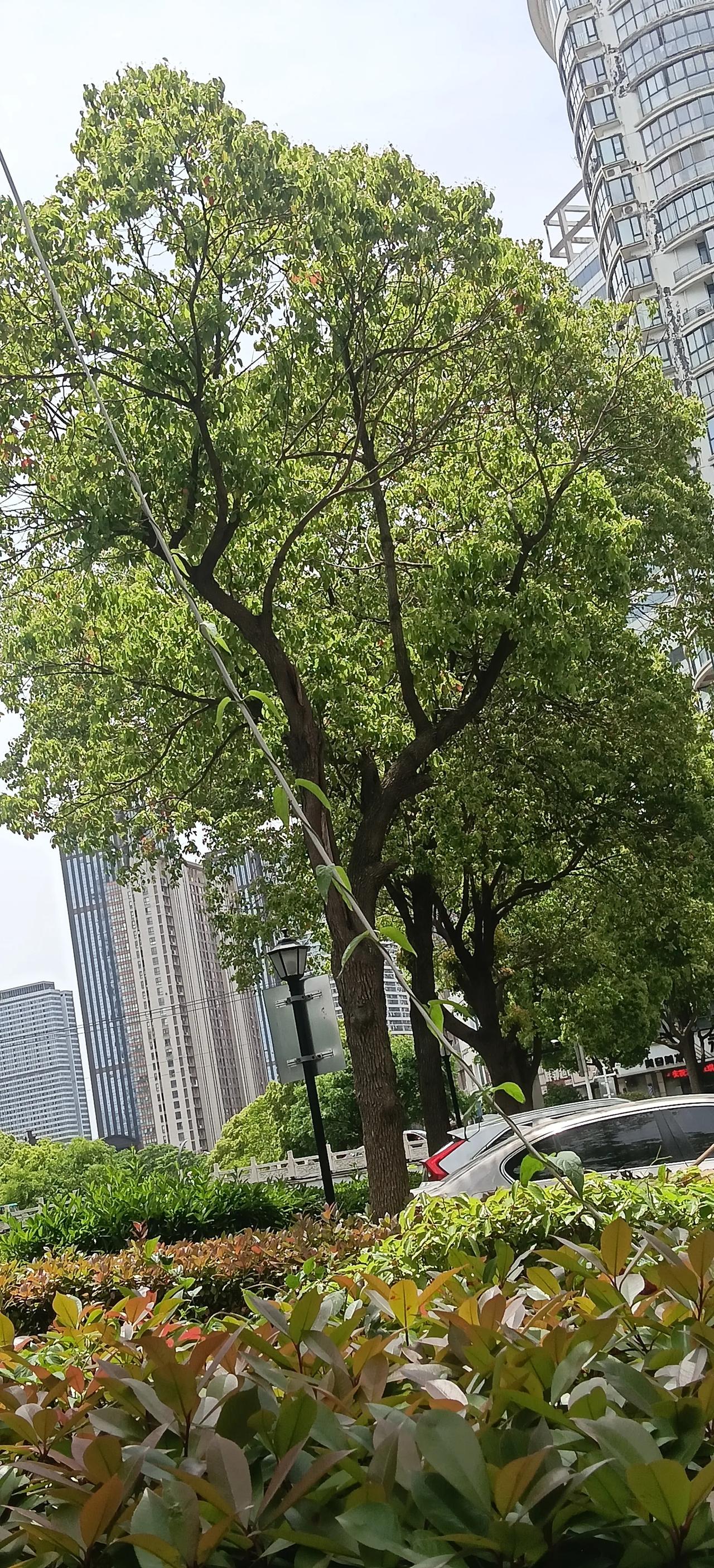 秦国灭六国,最大的功臣是谁?很多人第一反应是王翦、嬴政，或是商鞅，但真正奠定