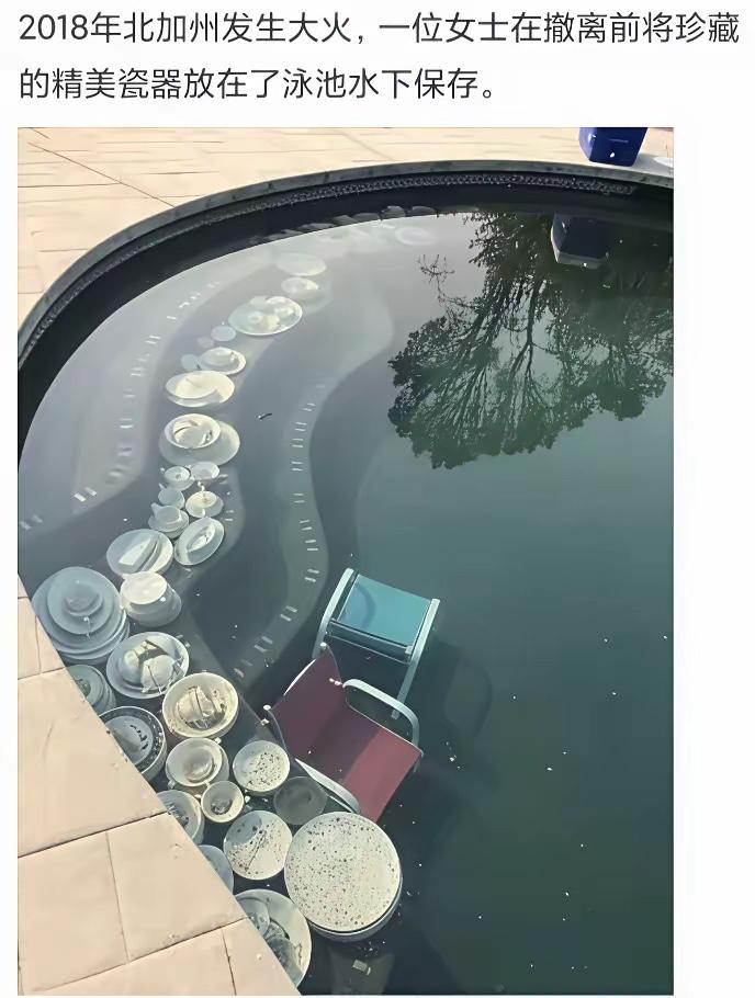 这种头脑个个都有，关键是要有这种硬件条件，不是每个人家里都有游泳池