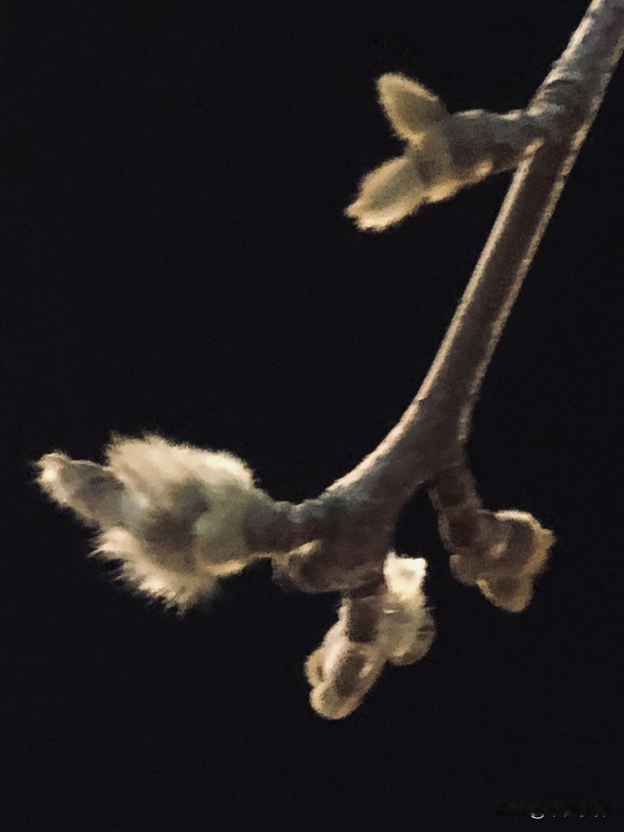 如果乌克兰夺回顿巴斯地区和克里米亚，断然不会再允许俄罗斯海军驻扎，黑海造船厂也绝