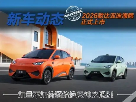 王传福以后的地位，可能不低于华为的任正非，这次比亚迪既能自研4nm芯片，又敢兜底