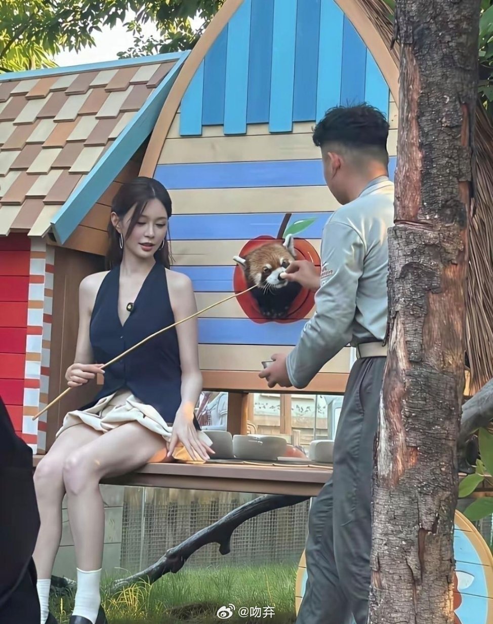 沈梦辰这腿都可以上热搜？你怎么看？​