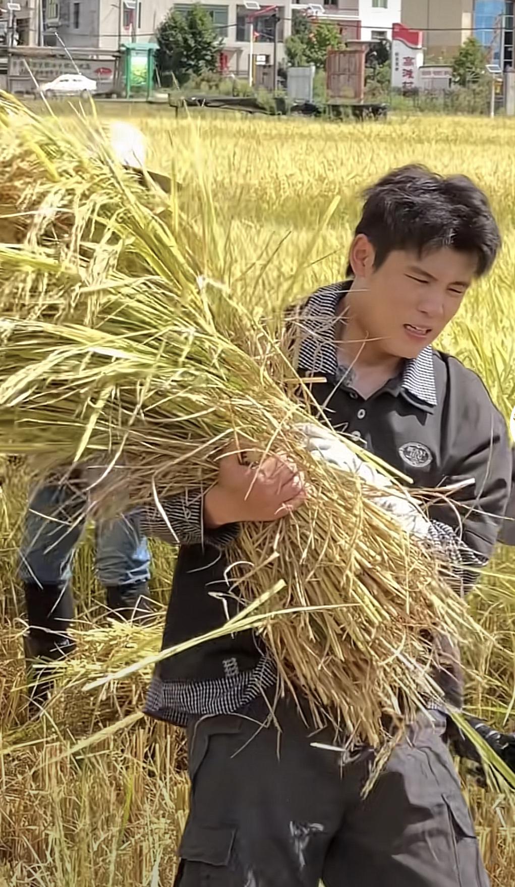 徐志胜录综艺嘻嘻哈哈，吃吃喝喝。轮到何广智录综艺，深入农村，把小时候吃过的苦，