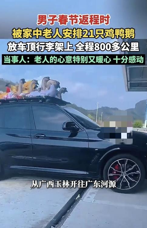 广东河源，一高速路上，一辆载了满满一车顶鸡鸭鹅的宝马车，引起了网友们关注。视频可