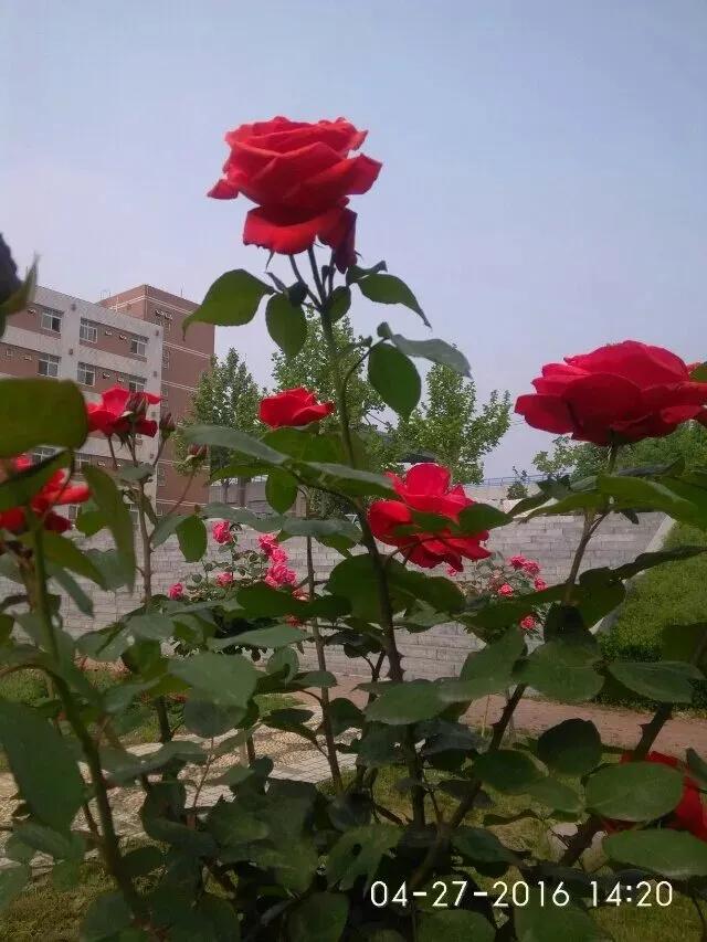 在现今的商业圈，有两大商业很奇怪，平时总见不到几个顾客光临，但是却长年累月的开着
