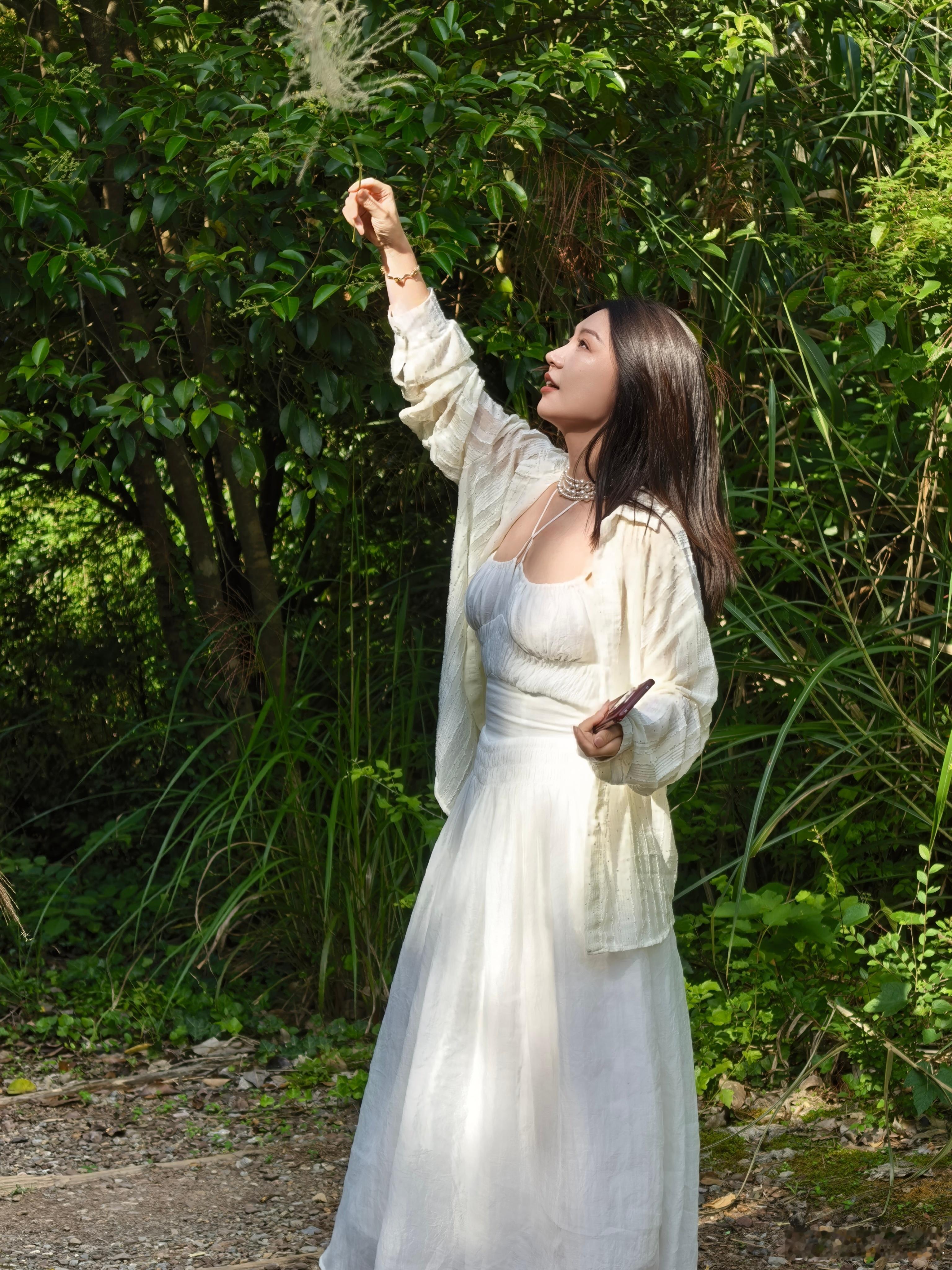 我被光所诱惑☀​​​