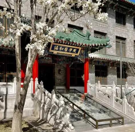 北京协和医院的4+4医学博士，也许出发点是好的，毕竟本科非医学专业，然后再走从医