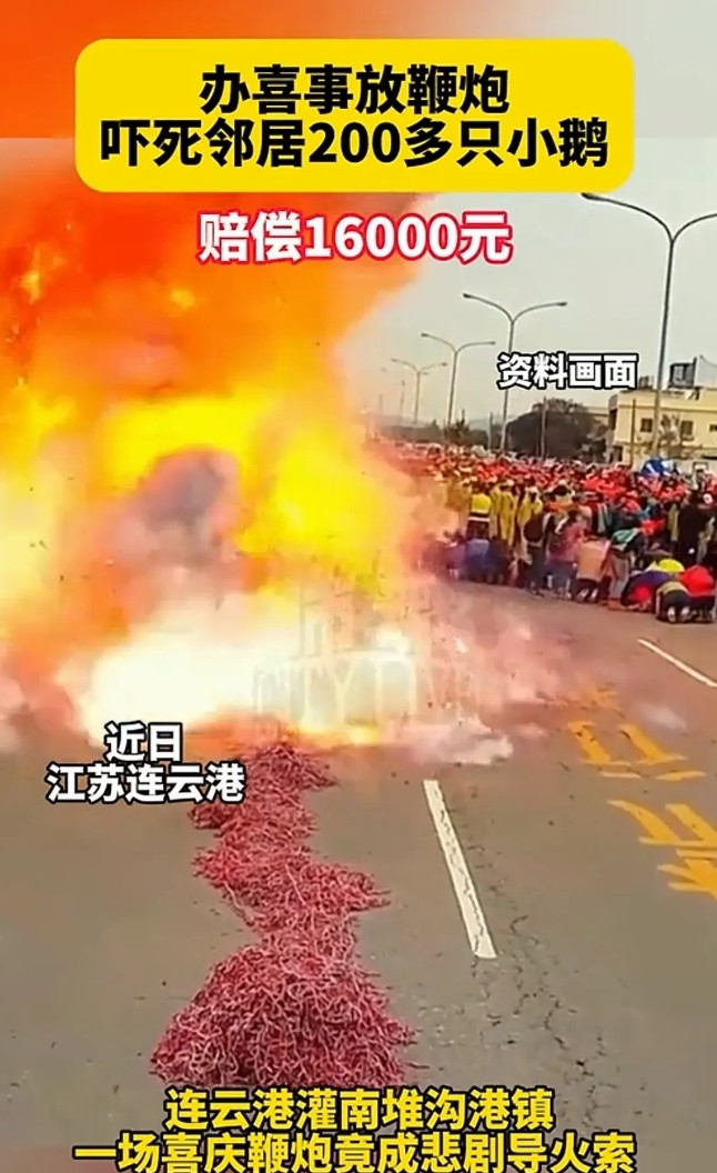 是不是讹人？6月6日，江苏连云港一男子家里办喜事放鞭炮，结果把邻居家养殖的200
