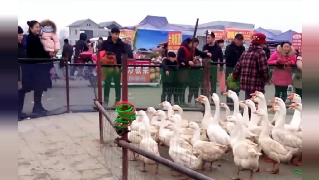 最新推销各种产品顺口溜地摊顺口溜大全全国庙