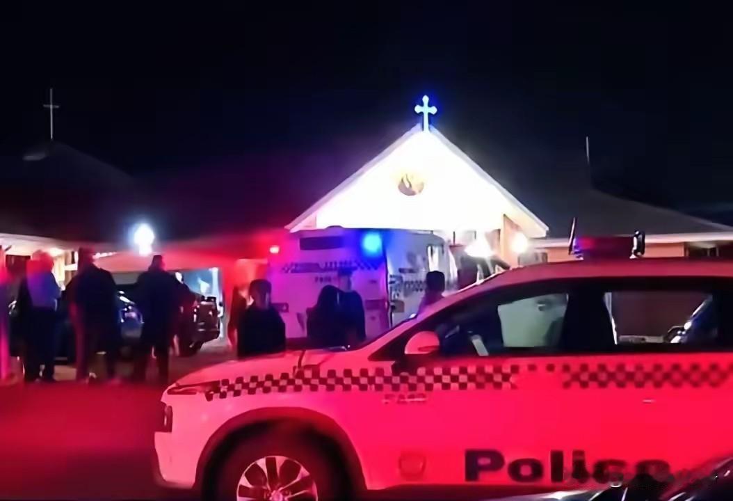 悉尼枪击案给咱们提了一个醒，那就是移民问题一定要慎重。移民的口子能不开就不要开