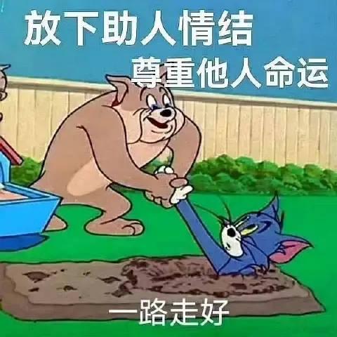 慢性牙周炎晚期患者，听到我说“吃药没用，得牙周系统治疗，争取把没松的牙保下来”后