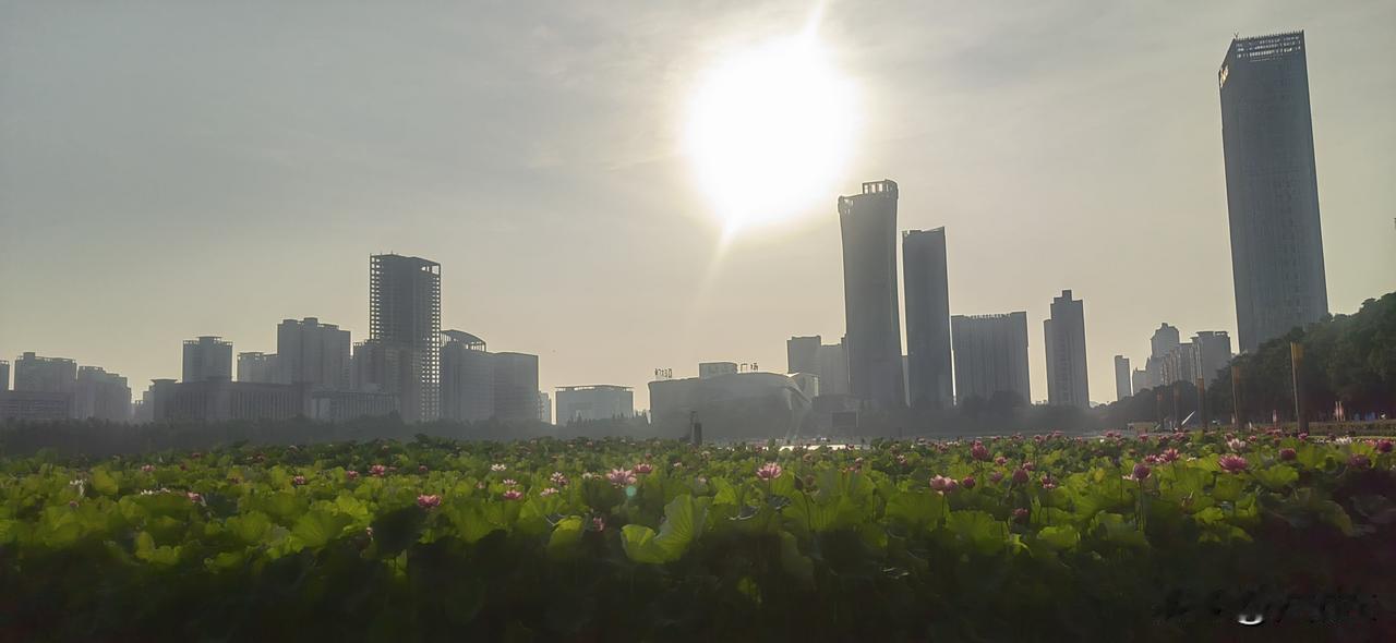 我不是支持贪官，甚至非常痛恨贪官。贪官以国家赋予的权力，以权谋私，贪占、侵占国