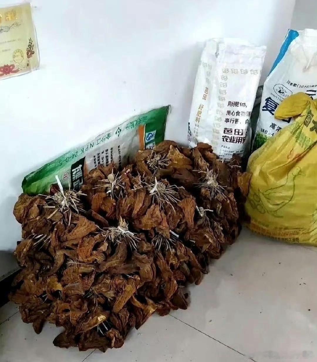 这才是真正的大户人家，太让人羡慕了