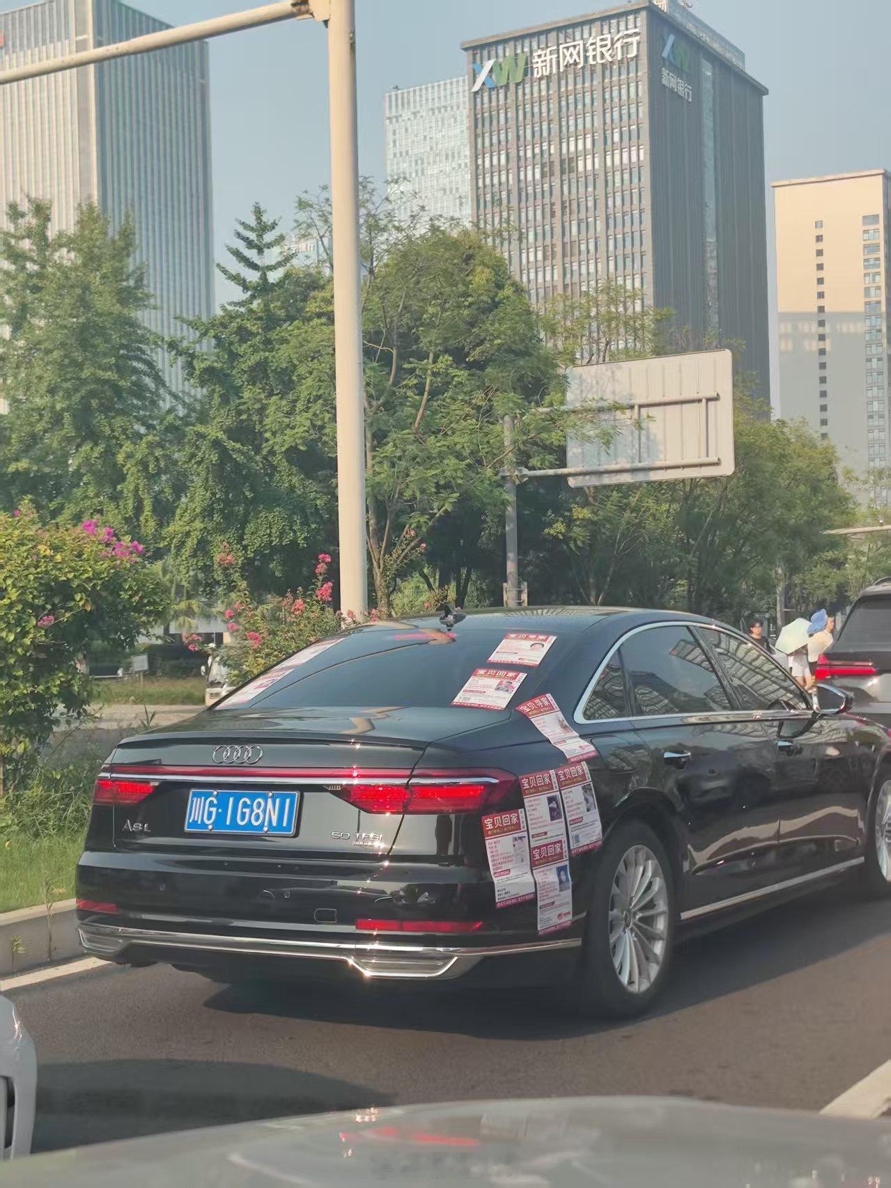 先生大义，“活该”你开奥迪A8L！早上开车看见前面奥迪A8L的车身花里胡哨，停车等灯是才发觉，A8L