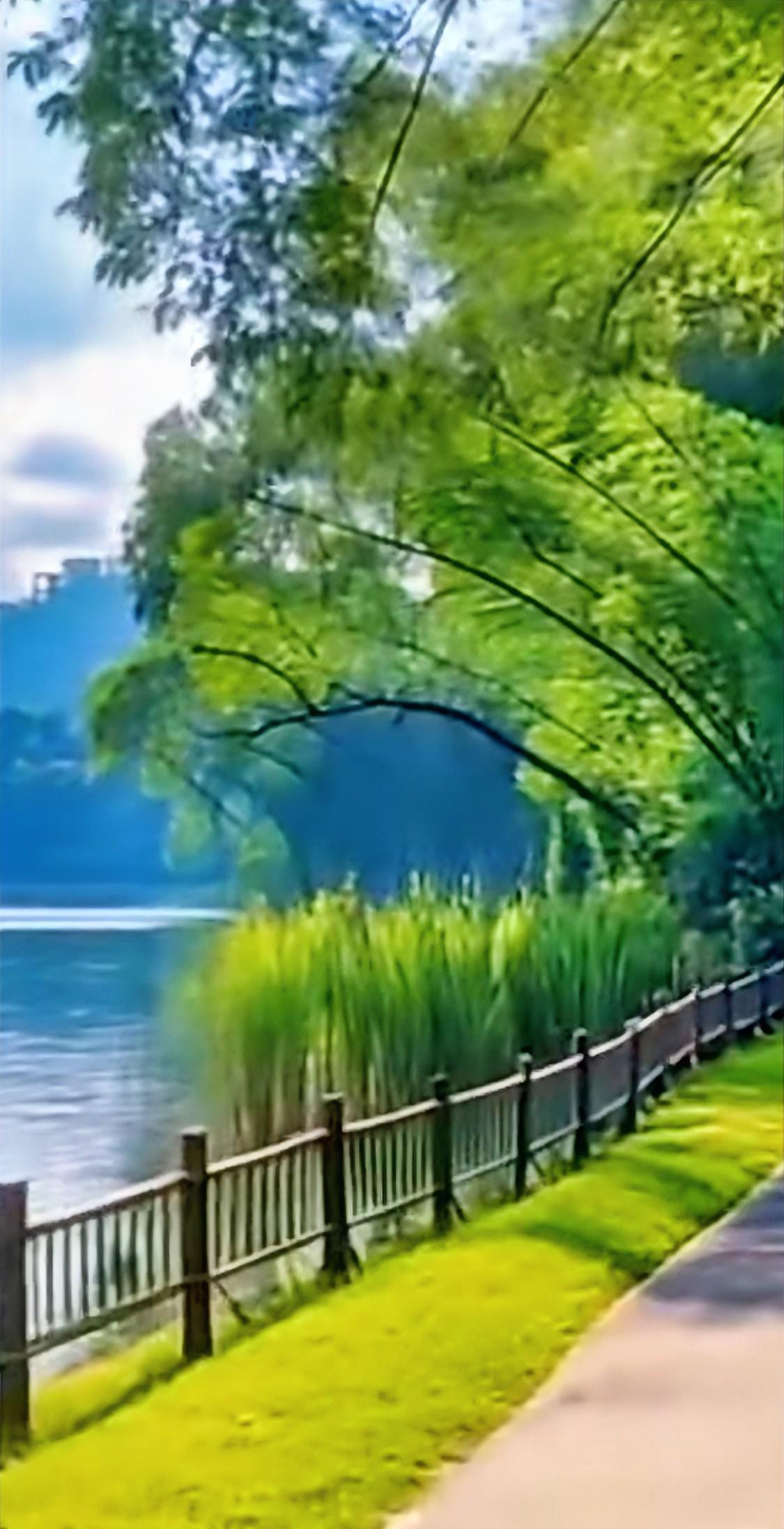 #人生到中年有哪些感悟#你为什么不快乐因为你没有好好爱自己为了别人而消耗着