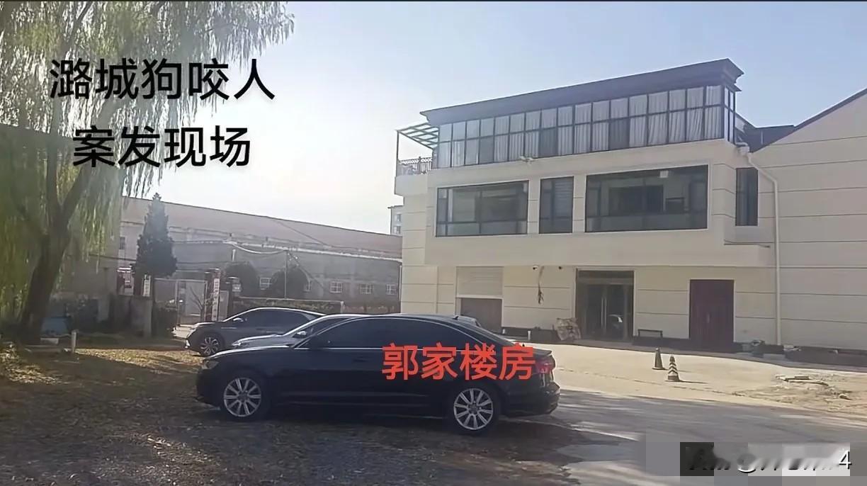 郭家和申家，一家是气派三层洋房，一家是普通小院儿郭家的洋房在村里格外扎眼，