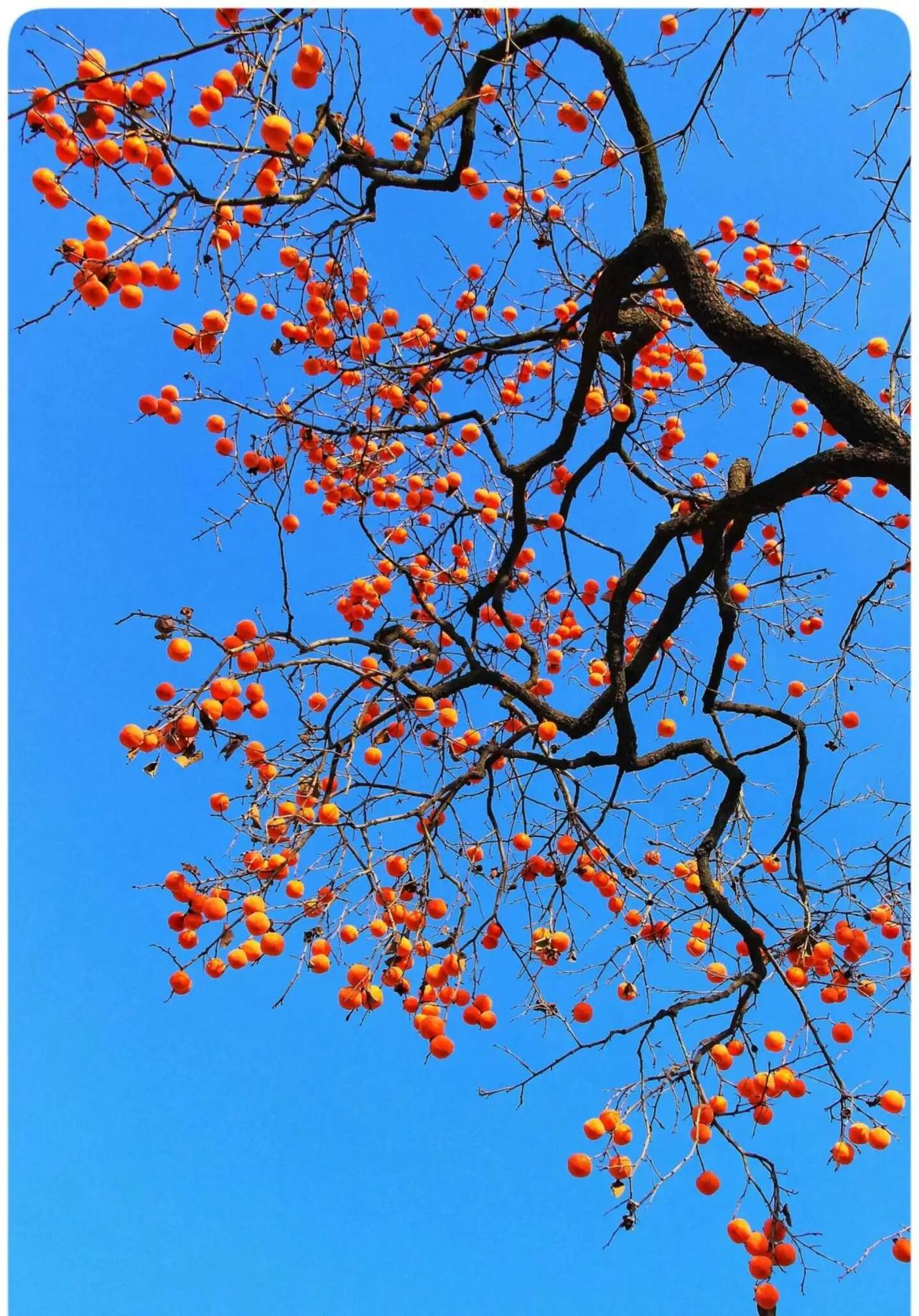 如果你的另一半是天蝎座，只要你不惹他生气，不跟他起冲突，你多去关心他，照顾