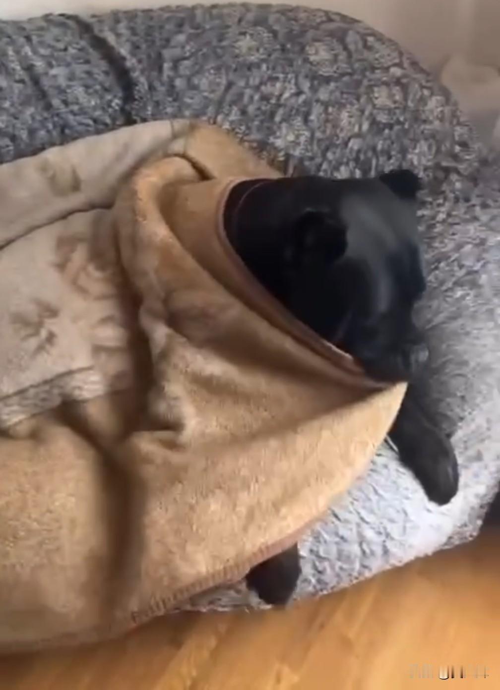 【严寒与空袭下的基辅：人道主义灾难的节奏】基辅市长克利奇科称，基辅500栋高