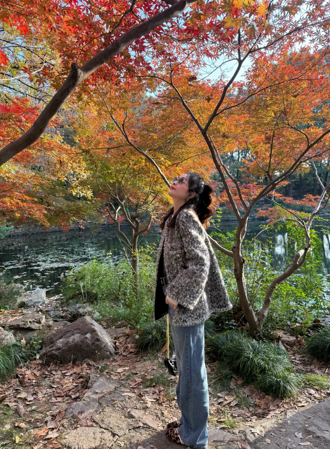 南京的秋天是什么天选美学 🍂 咱美的很松弛