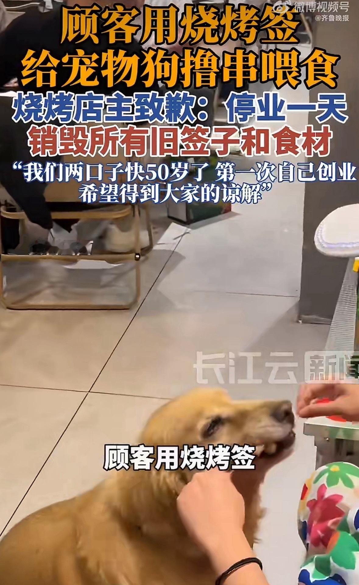 用烧烤签给狗撸串顾客账号已私密只能说活该，现在被曝光了感觉自己委屈了？早干嘛去了