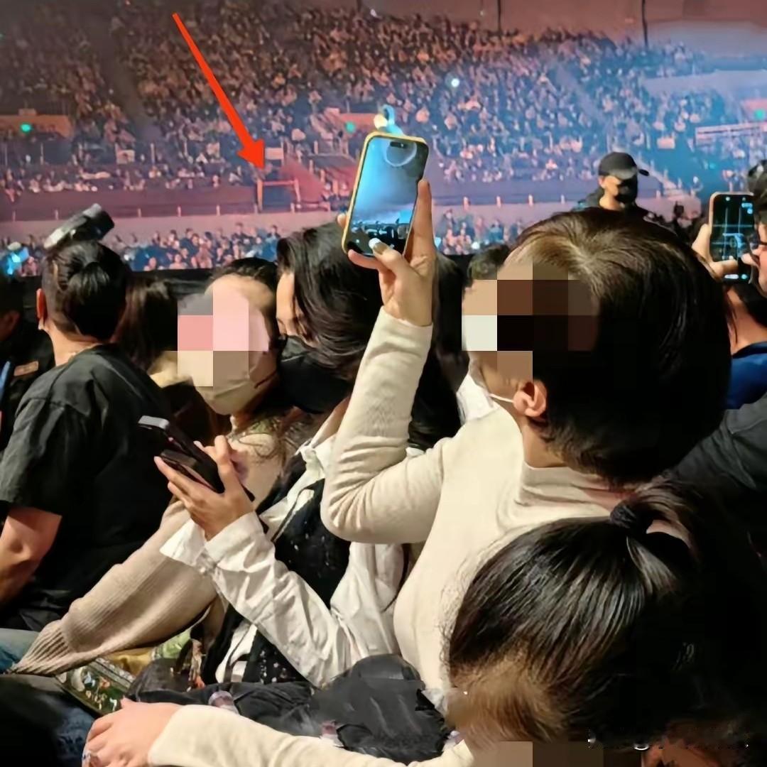 汪峰估计郁闷了他怎么也没想到他在舞台上散发魅力呢，而他的小女友捂得严严实