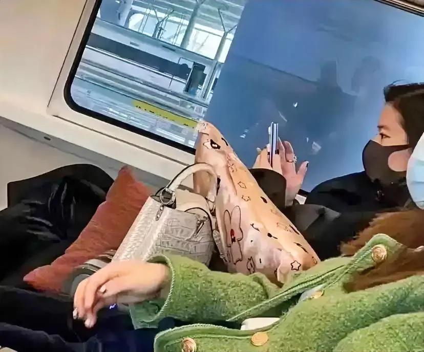 高铁内偶遇刘亦菲，弄的我这个大叔小心脏砰砰跳个不停，旁边的哥们儿嘲笑我没见过世面