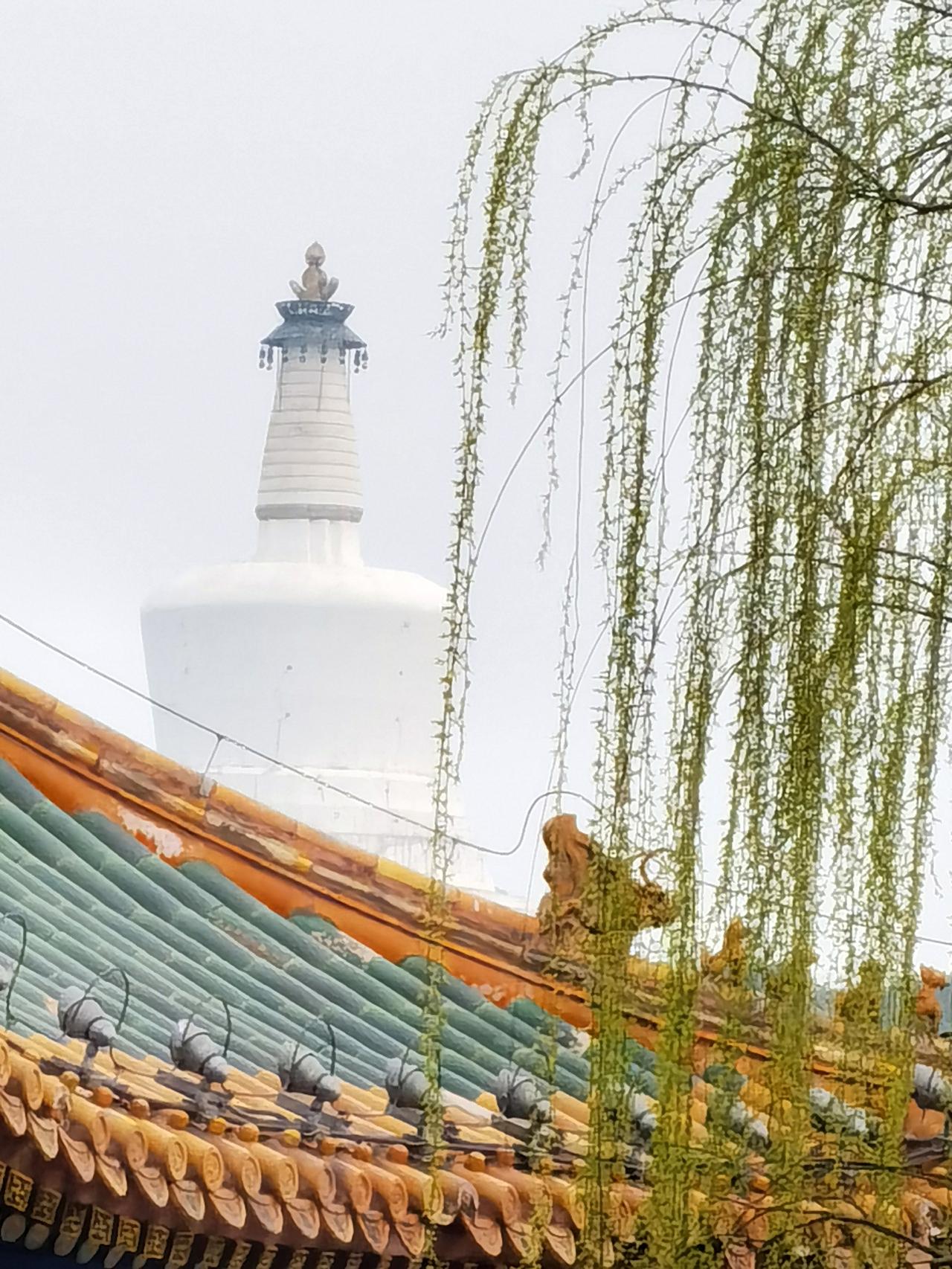 五元钱看尽北京北海公园春花烂漫，真的超值。北京迎来了一年最美的季节，各种春花