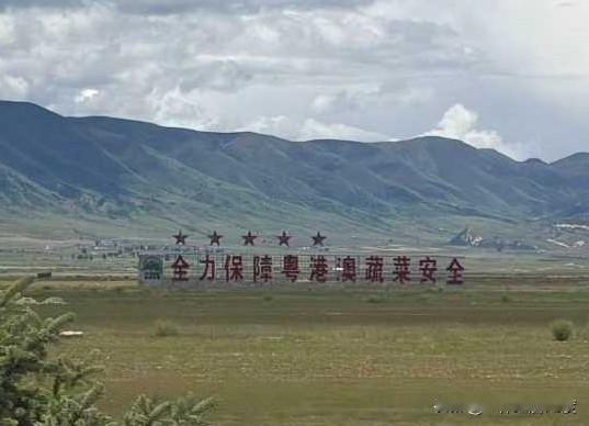 这个地方种的大白菜运出来应该可以放心吃吧？