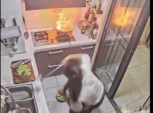 油锅着火老公满身泡泡冲出来救火！这样的婚姻谁不羡慕？刚刷到一个宝妈的幸福分享