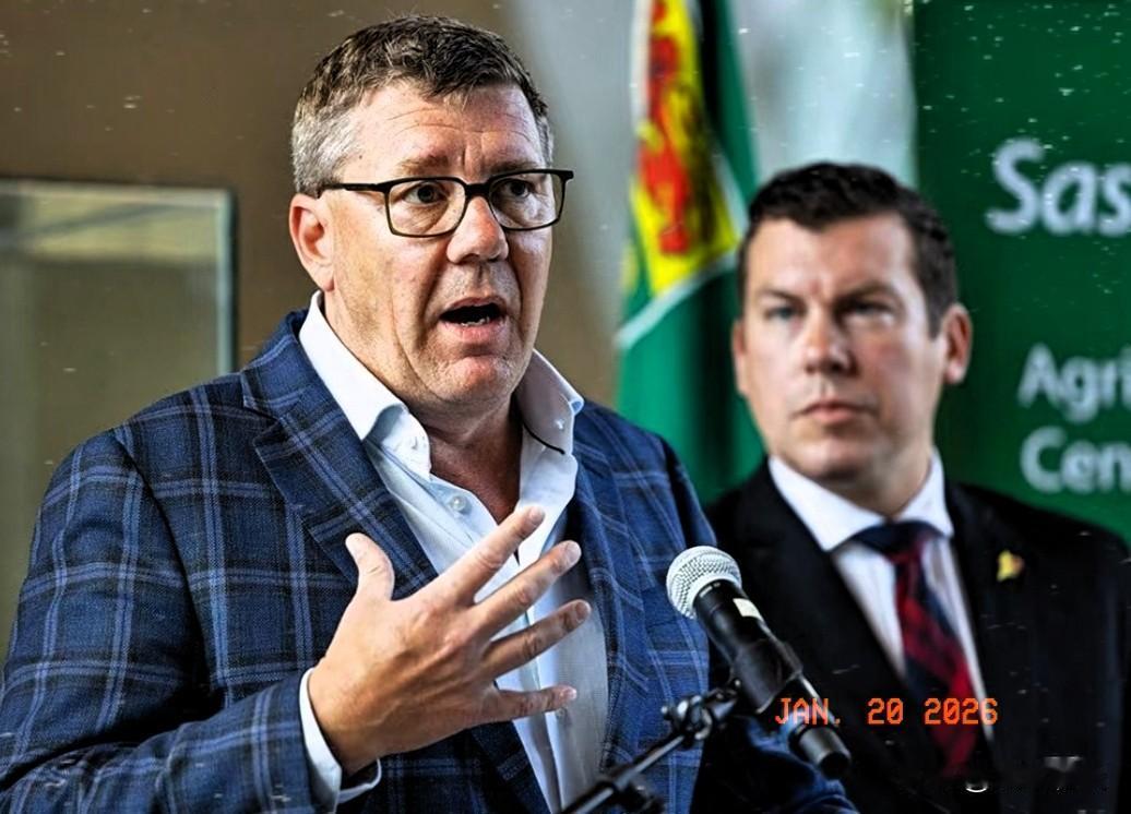 卡尼访华后，油菜籽第一大单就来了！中方进口商一口气采购了加拿大6万吨油菜籽，这是