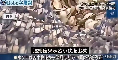 看到日本扇贝运往中国，我忍了。看到是日本公司自己接盘，我也忍了。可是看到放射