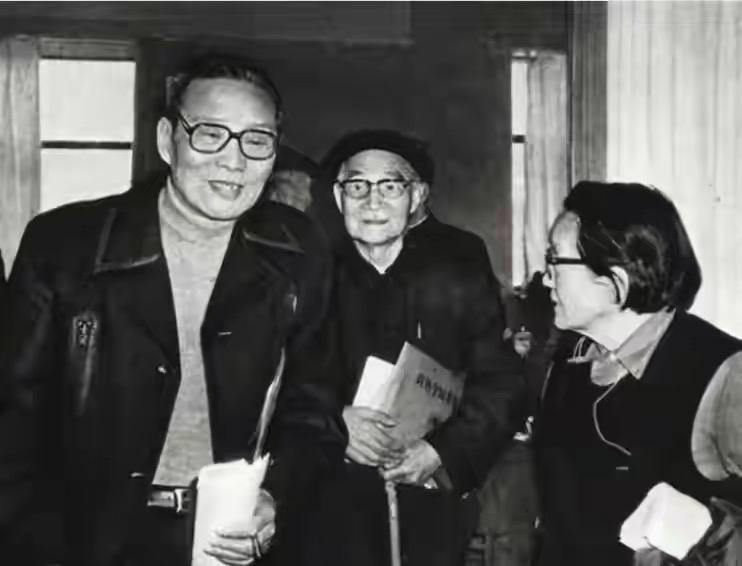 如何评价沈醉？1963年，周总理在中南海会见沈醉等人。一见到沈醉，总理便笑