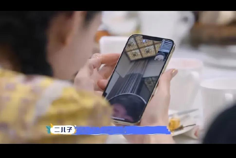 谢霆锋把孩子接走，但是却不给他们管饭，让孩子点外卖，张柏芝打电话知道之后满眼的心