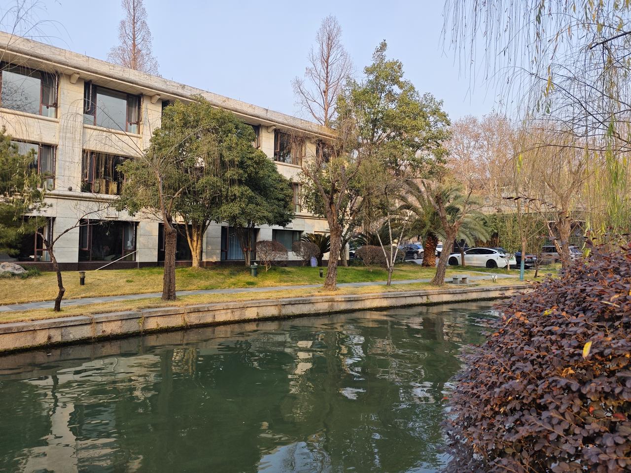 双休日来到西湖看美景，突然发现西湖从来都是那么的诗情画意，美的让人赞叹不已。西湖