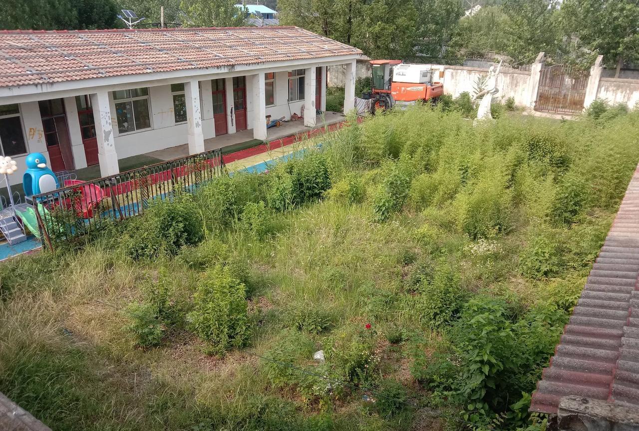我曾经是一名小学代课教师，在本村公办小学代课3年，教的是小学1－2年级。当时很
