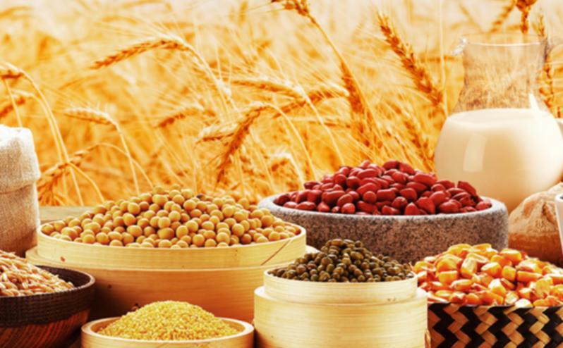 医生发现：常吃粗粮的糖尿病患者，用不了多久，身体或有4大变化糖尿病人最怕吃错