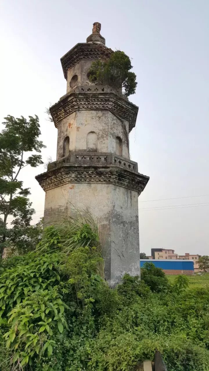 题雁塔,位于广东省化州市长岐镇南安圩东南侧的田间水滨.