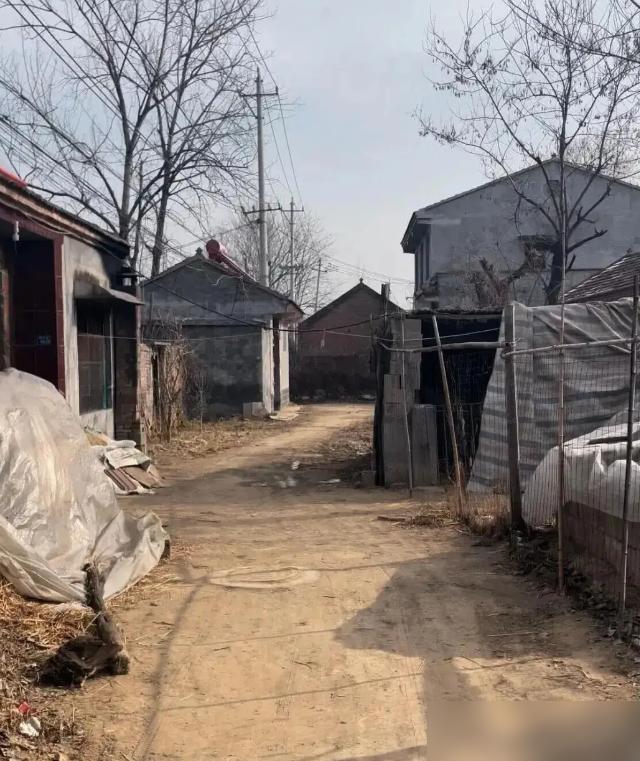 93岁的外婆断食三天了，就是没咽气。舅妈凑在她耳边说的那句听起来扎人的话，我