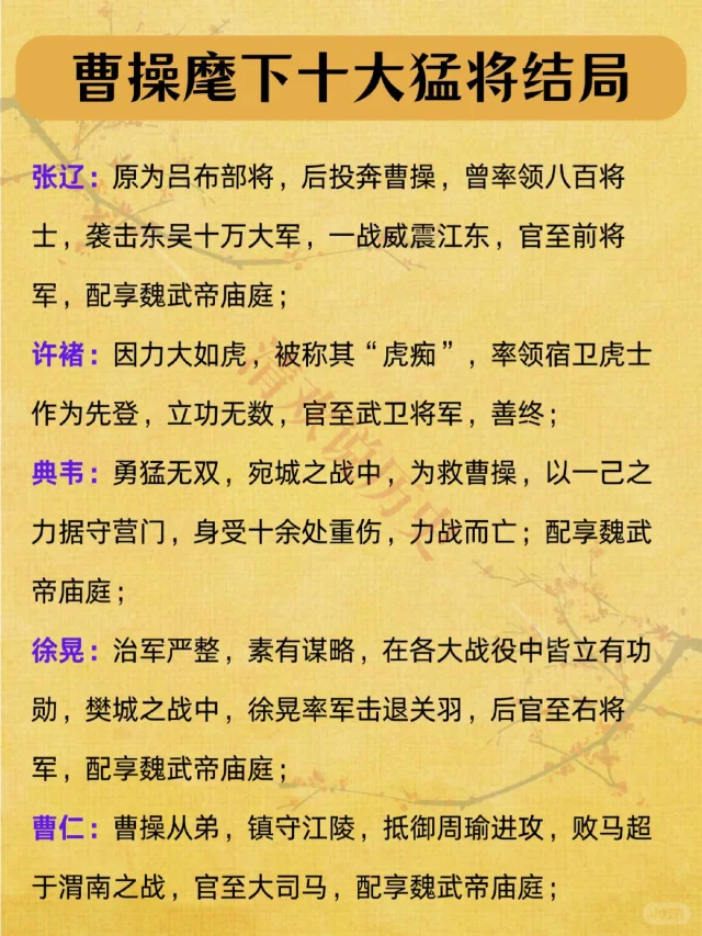 曹操麾下10大猛将一览‼️典韦结局尤为可惜