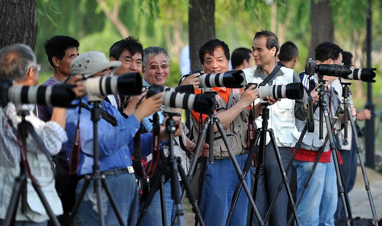 摄影爱好者拍摄小鸟的时候，通常必需使用长焦距镜头，因为野生鸟很容易受到惊吓，人一