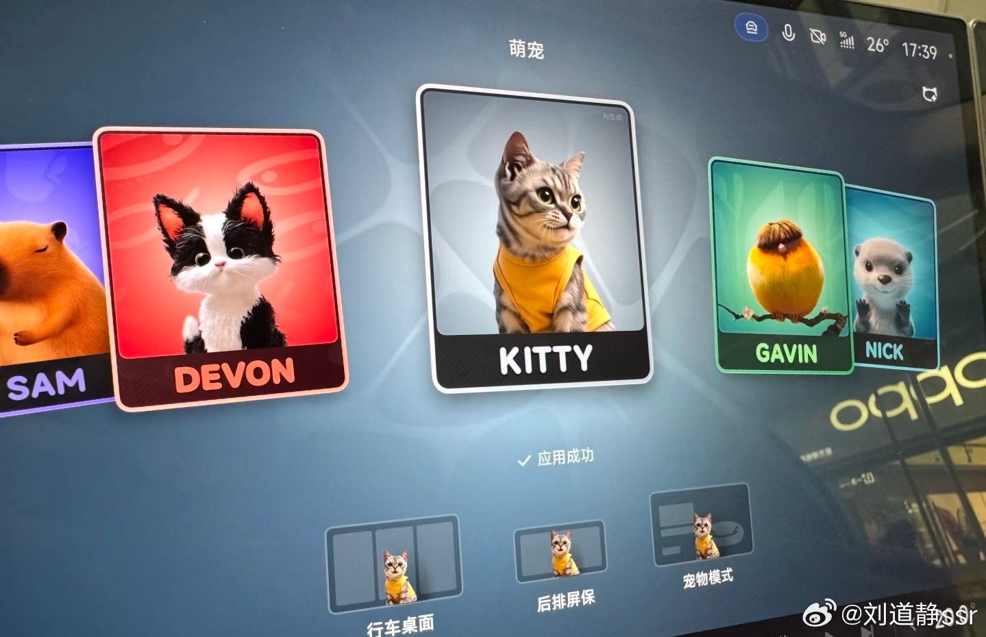 小米新SU7你藏的太深了可以拍一张自己的宠物照片上传成动态屏保！车我可以买宠物