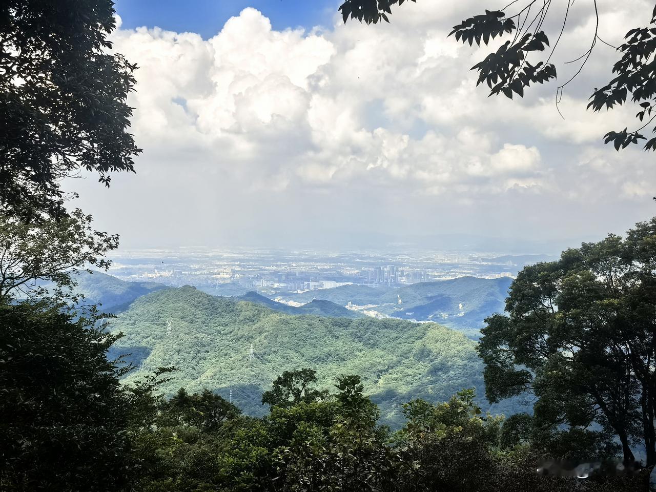 二婚，幸福的赌局，与后半场的债下午一通电话，是好友阿丽（化名）沙哑的声音。不