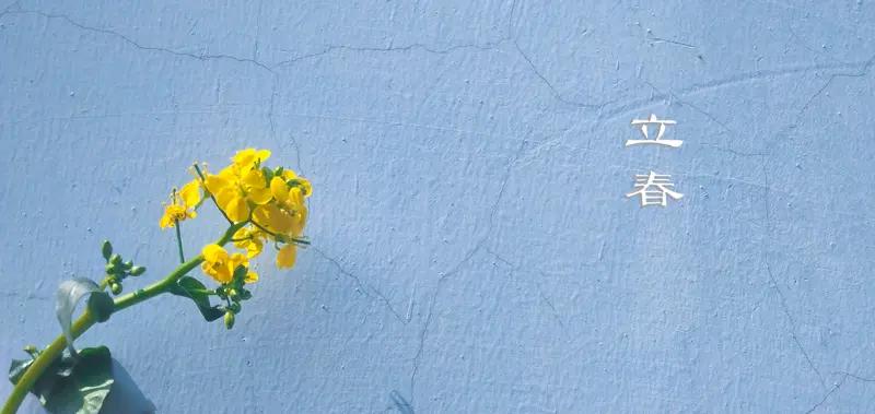 立春躲春不是迷信！这5个生肖必躲，一步教你正确操作立春大家都知道，可老辈人说