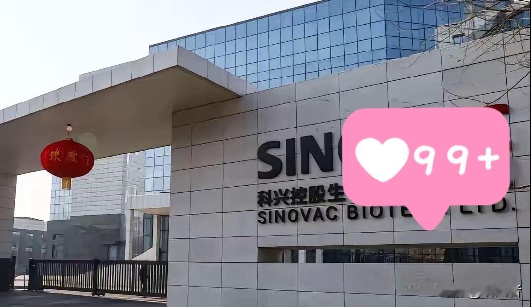 科兴退市！胳膊上的疫苗疤还在530亿分红先给美日股东分走了？胳膊上的印