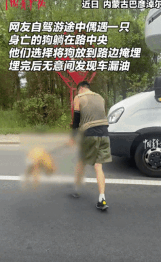 内蒙古，一对夫妻开车回家，发现路中间躺着一只死狗，怀疑是被车撞死的，2人不忍看狗