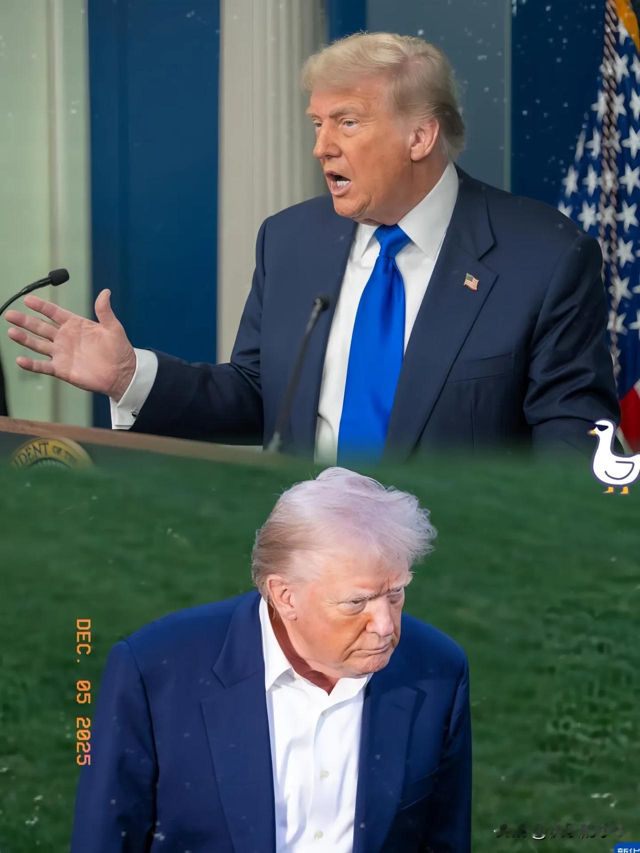 特朗普阿特朗普～简直了:1️⃣1️⃣月中旬，中粮等三家国企组团采购美国