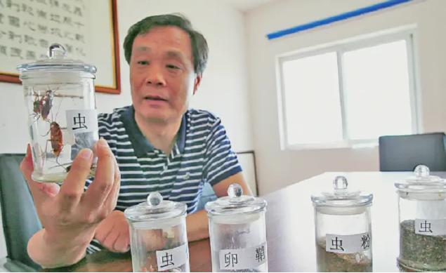 山东章丘，一个看起来再普通不过的厂房里，却藏着让很多人头皮发麻的一幕：成群的美洲