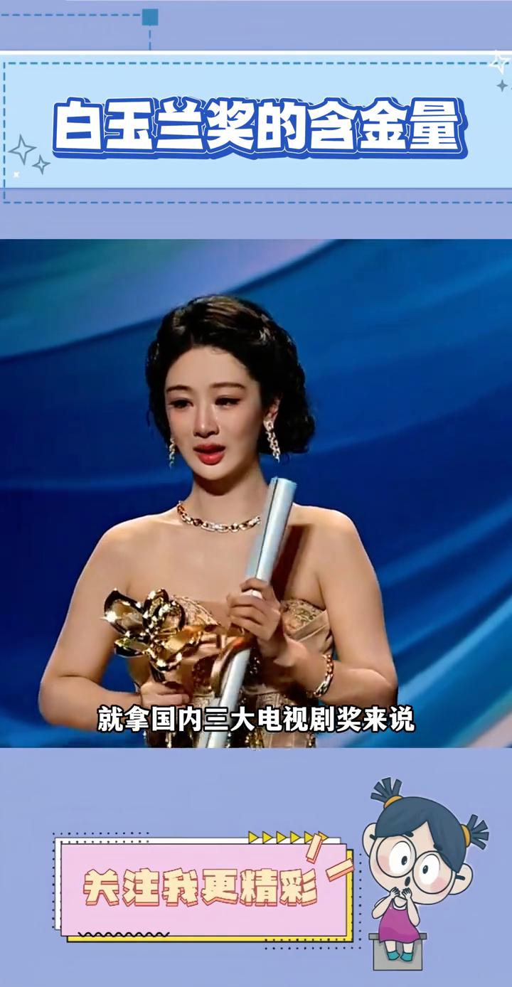 白玉兰奖的含金量。所以白玉兰奖到底有没有含金量？就拿国内三大电视剧奖来说，飞天