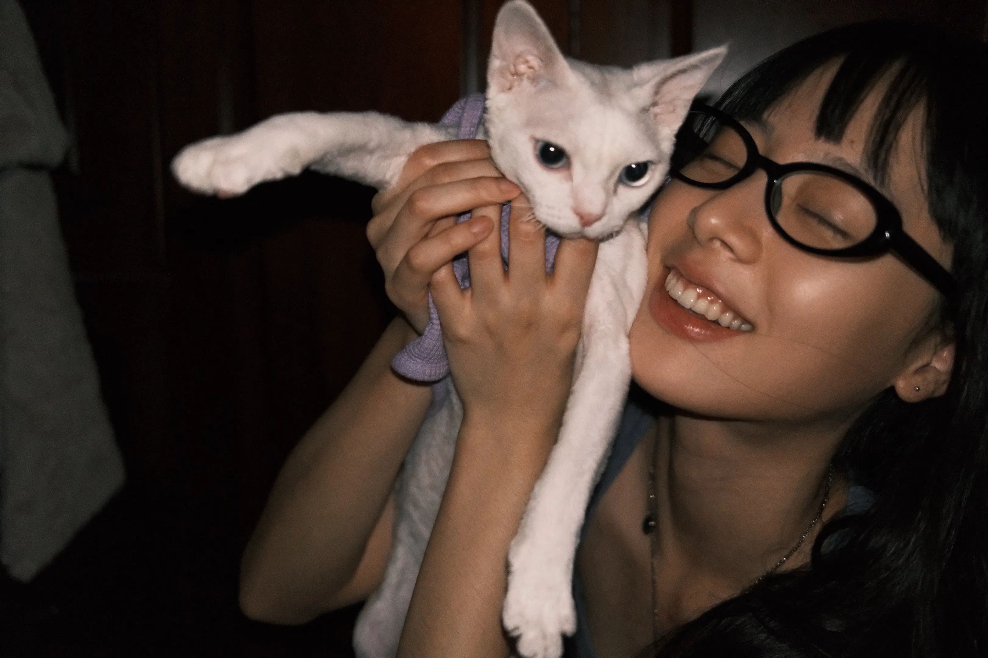 今天是国际猫咪日诶 愿所有小猫咪都被温柔对待🫶🏻