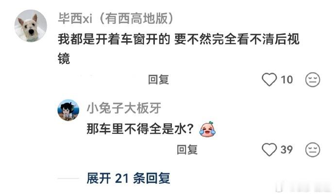 一个雨天开车的人天塌了​​​​